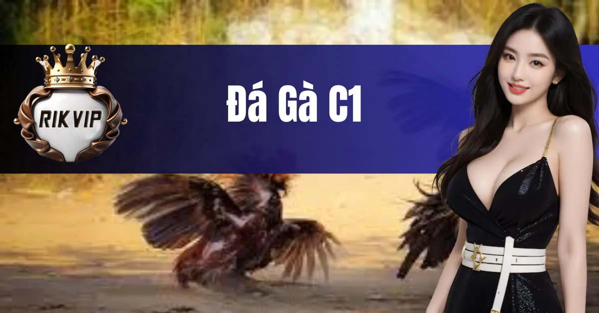 Đá Gà C1