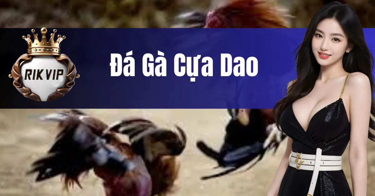 đá gà cựa dao