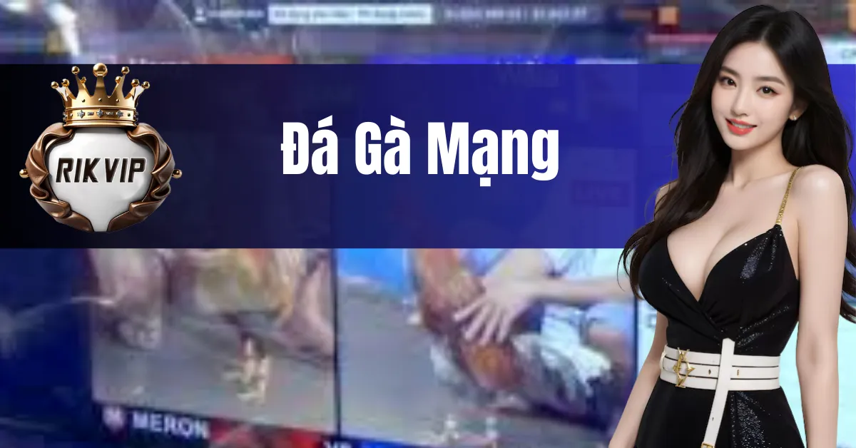 đá gà mạng