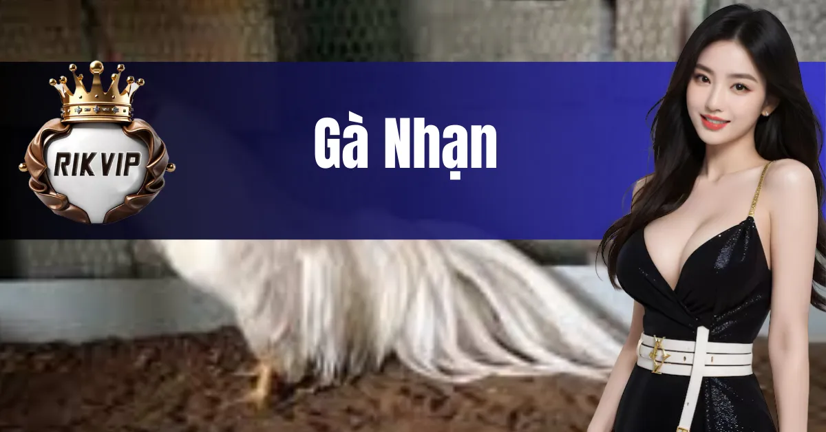 gà nhạn